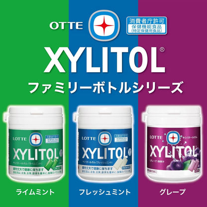 Lotte Xylitol Gum Fresh Mint Chewing Gum