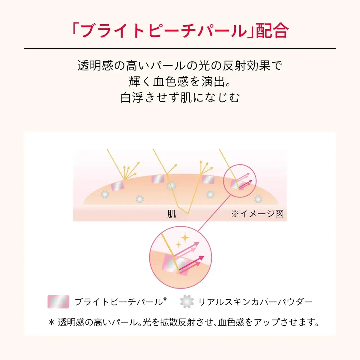 Maquillage Cushion Foundation Case