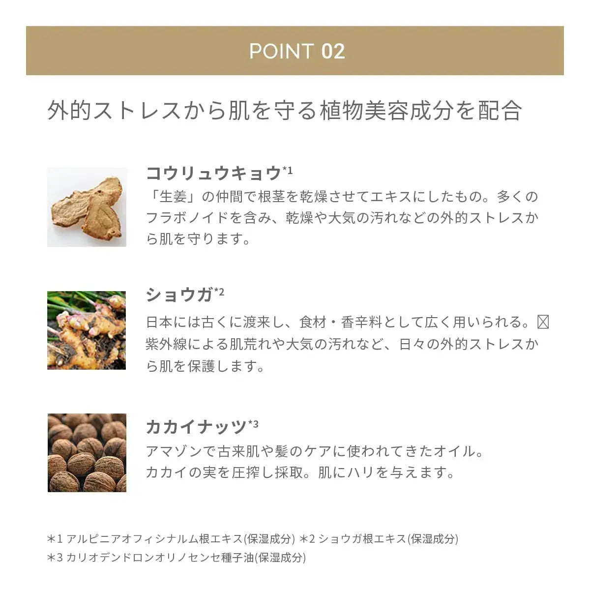 MIMC Earth Tone Control Clear Powder Makeup Powder