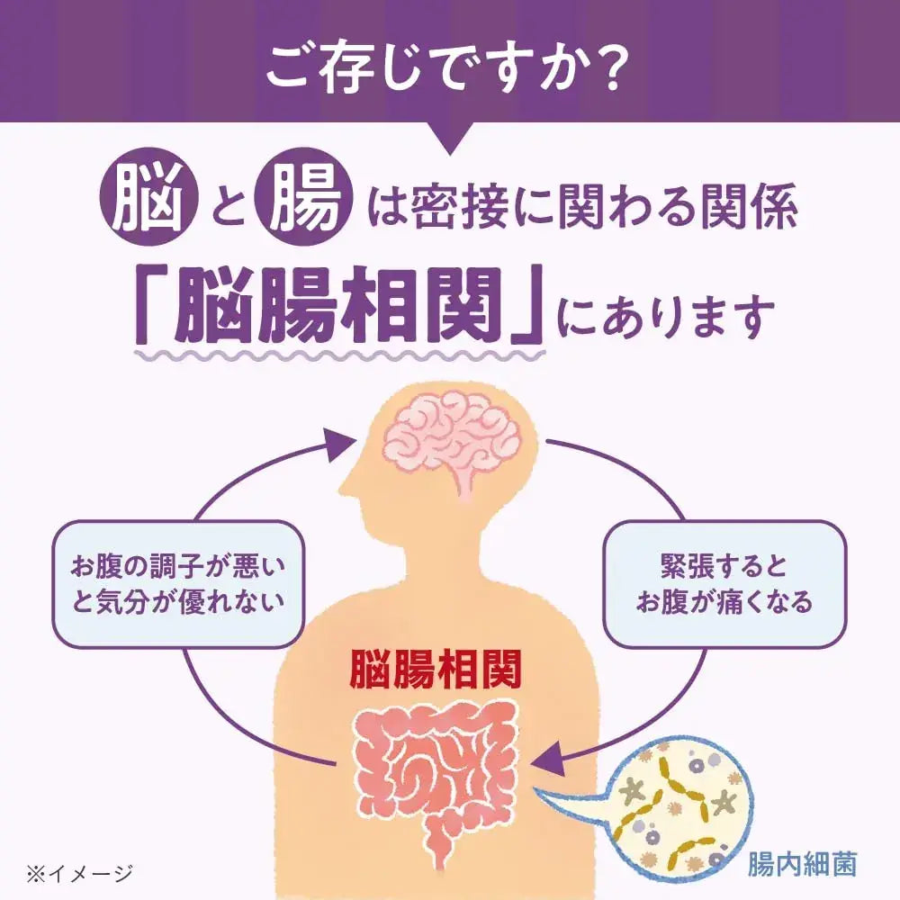 Morinaga Memory Bifidus Memory Support Supplement