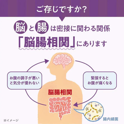 Morinaga Memory Bifidus Memory Support Supplement