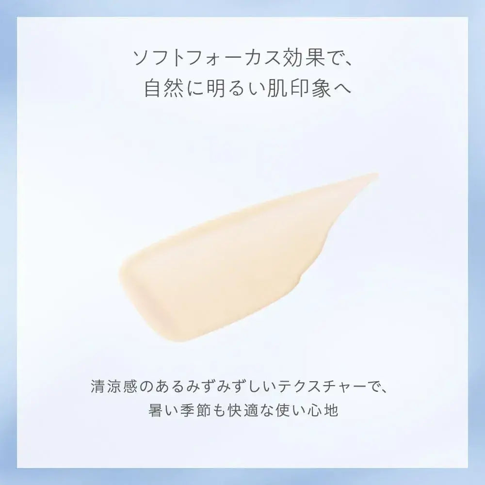 Naturaglace Oil Control Milk C Foundation Concealer