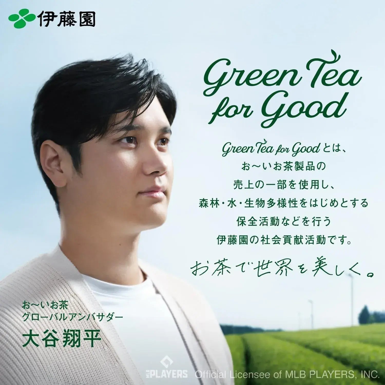 Oi Ocha Green Tea Beverage