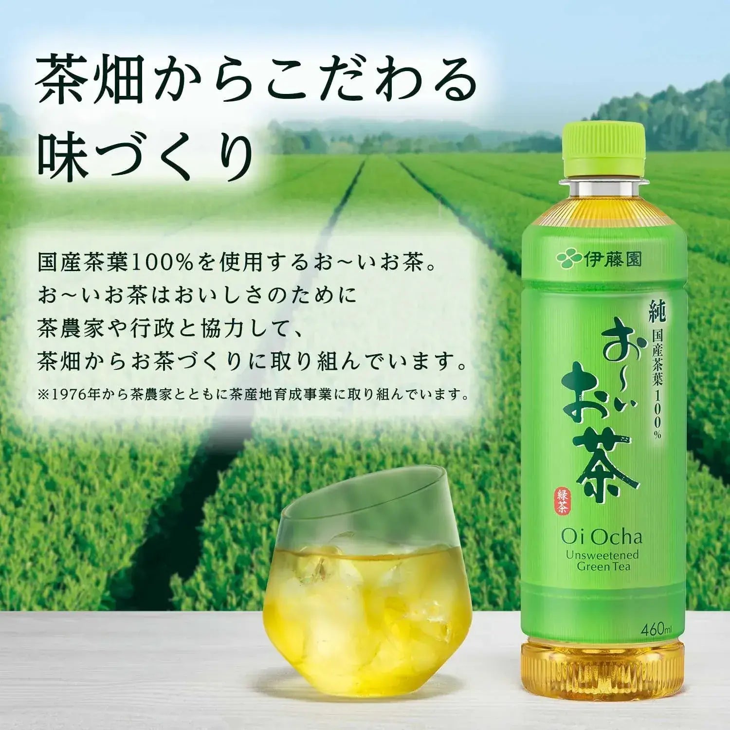 Oi Ocha Green Tea Beverage