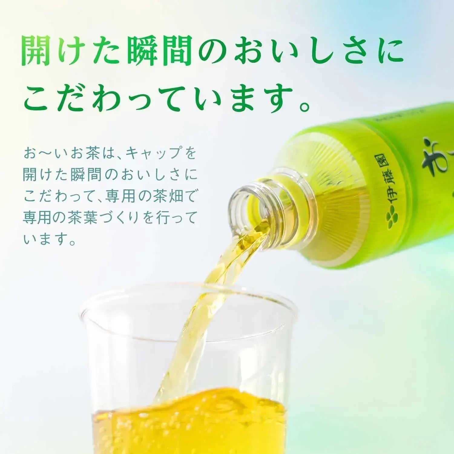 Oi Ocha Green Tea Beverage