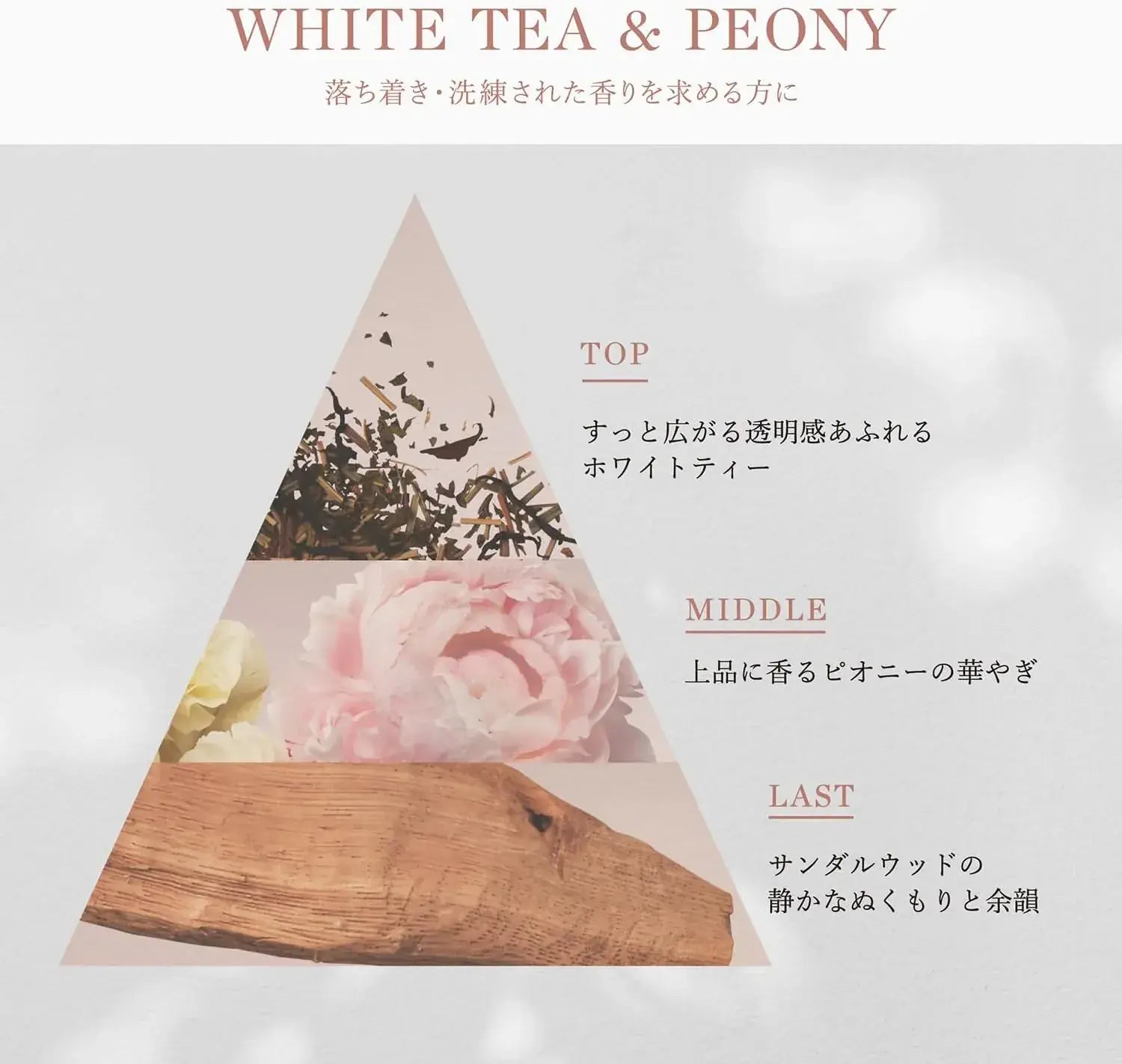 Pantene Hair Mist White Tea Peony 6.8 fl oz