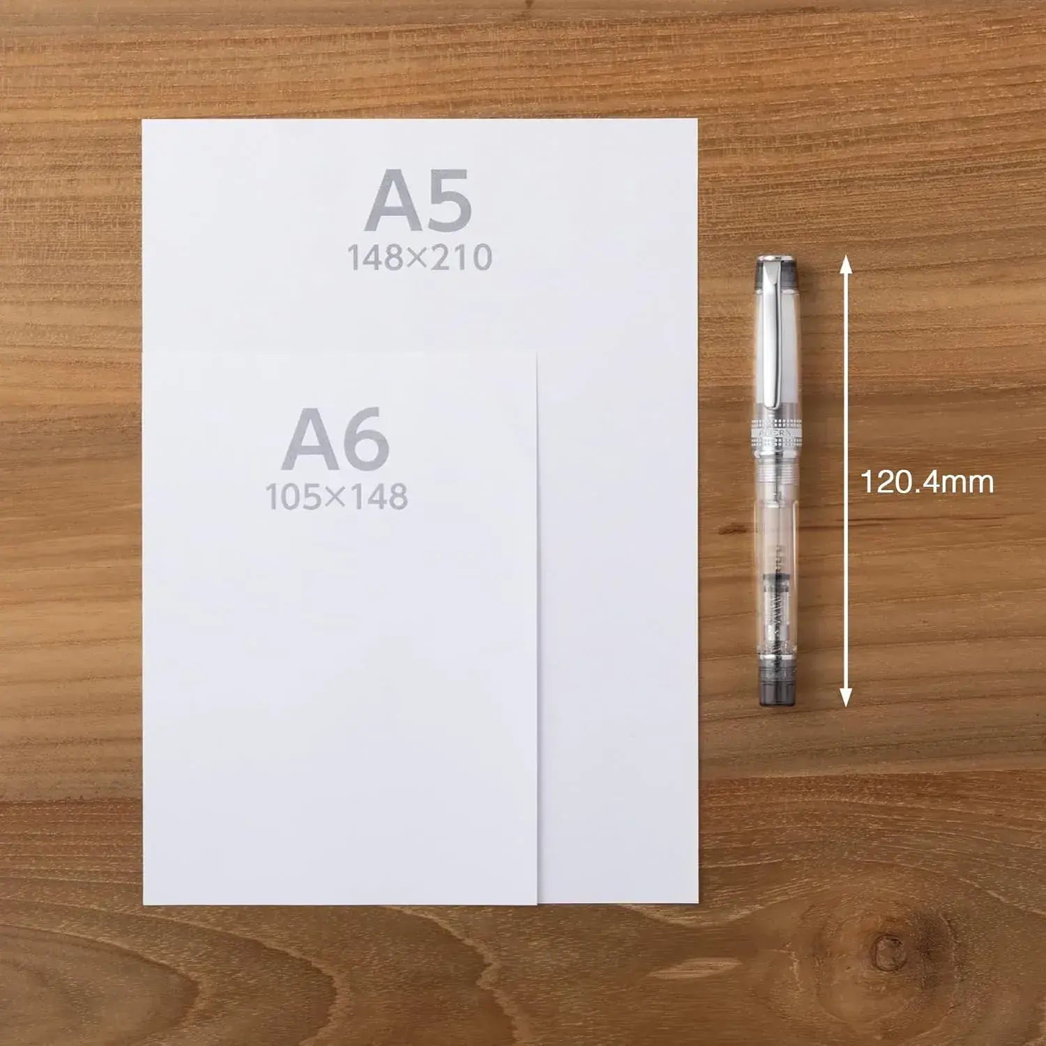 Pilot Fountain Pen Prera Medium Transparent Collection