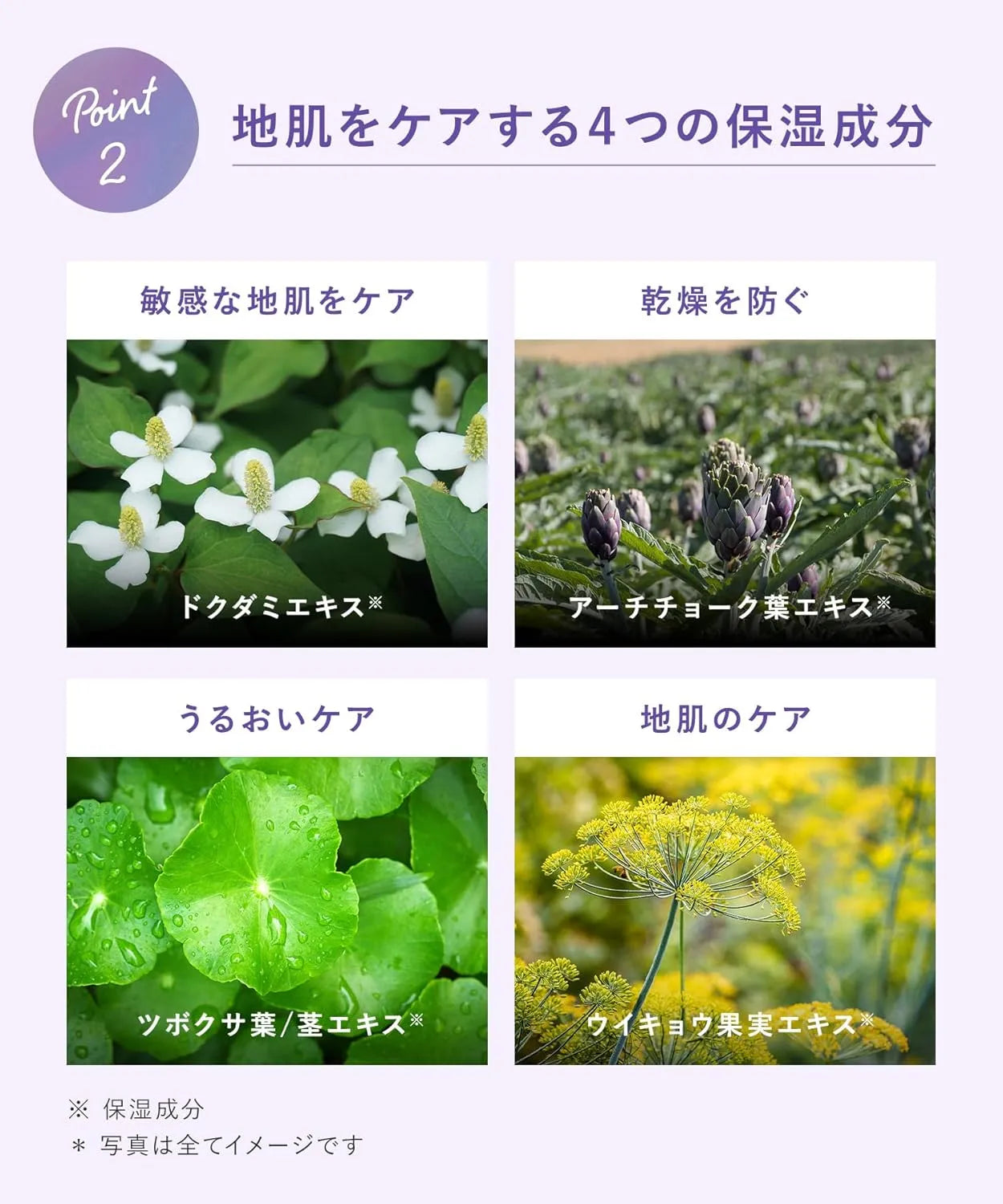 Qurap Curap Hair Mask Powerpuff Girls Collaboration Treatment