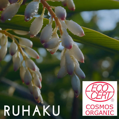 Ruhaku Shell Ginger Moist Cream S 30g