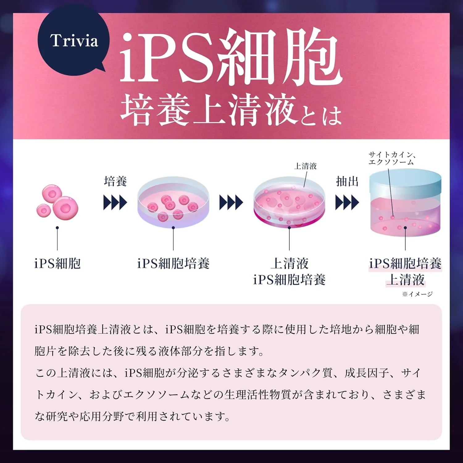 Scalp D Eyelash Serum Queen Tamagotchi Version with Beauty Case