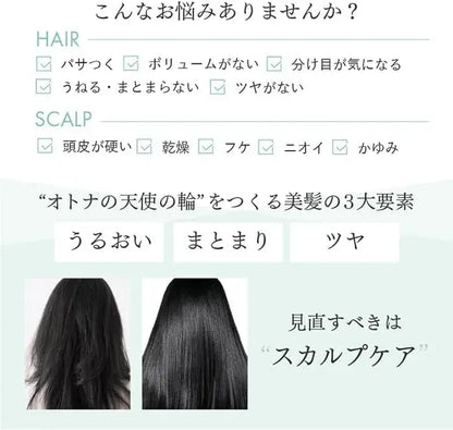Scalp-Dbeaute Moist Shampoo for Women with Amino Acids and Scalp Care