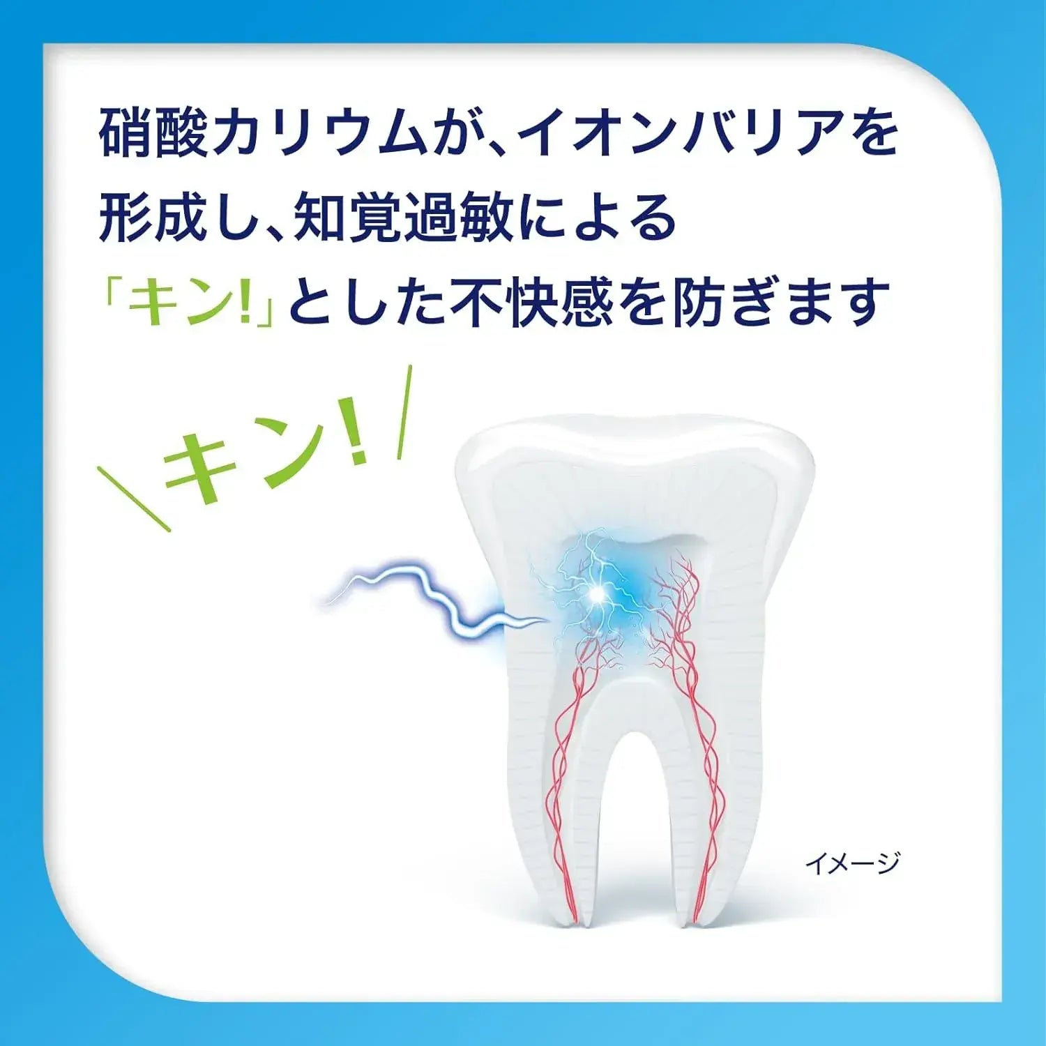 Sensodyne Complete One EX Toothpaste Sensitivity Care 1450 ppm