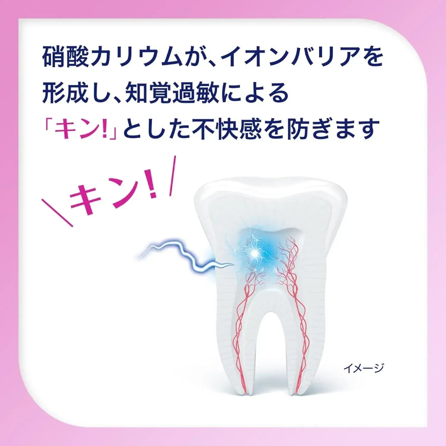 Sensodyne Schmidtect Periodontal Disease Care Toothpaste