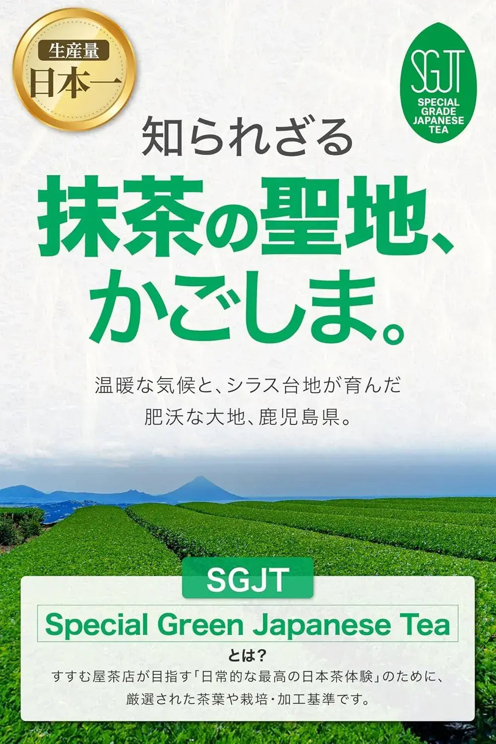 Susumuya Tea SGJT Matcha Powder 30g Made in Kagoshima Japan