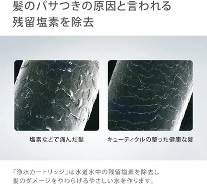 Takagi Ultra Fine Bubble Water Purification Shower Head Chlorine Removal