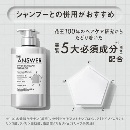 The Answer EX Gloss Treatment for Heat Damage Glossy Smooth
