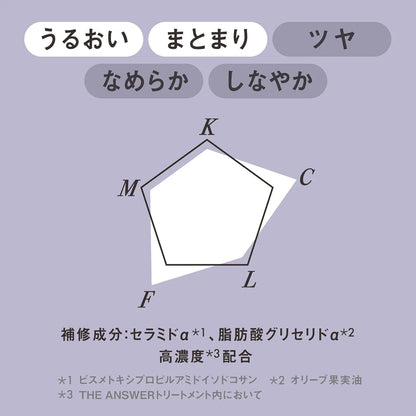 The Answer EX Moist Treatment Daily Damage Repair 7.8 oz