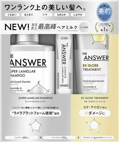 The Answer EX Moist Treatment for Daily Damage Moisture Manageability - Gloss - 4901301460127