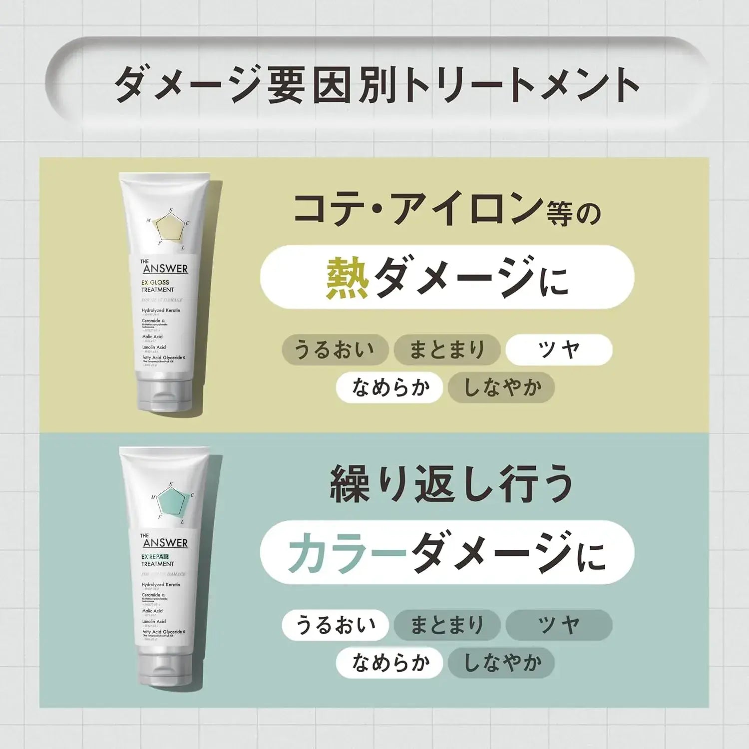 The Answer EX Moist Treatment for Daily Damage Moisture Manageability