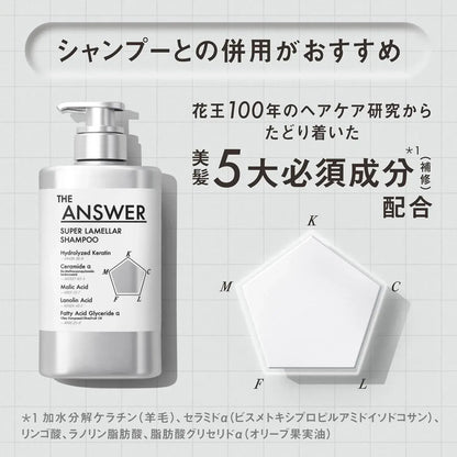 The Answer EX Moist Treatment for Daily Damage Moisture Manageability