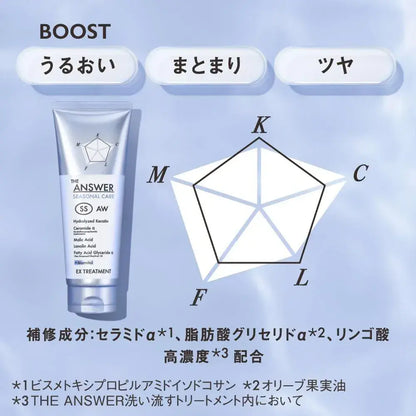 The Answer Seasonal Care Super Lamella Shampoo and Treatment Set