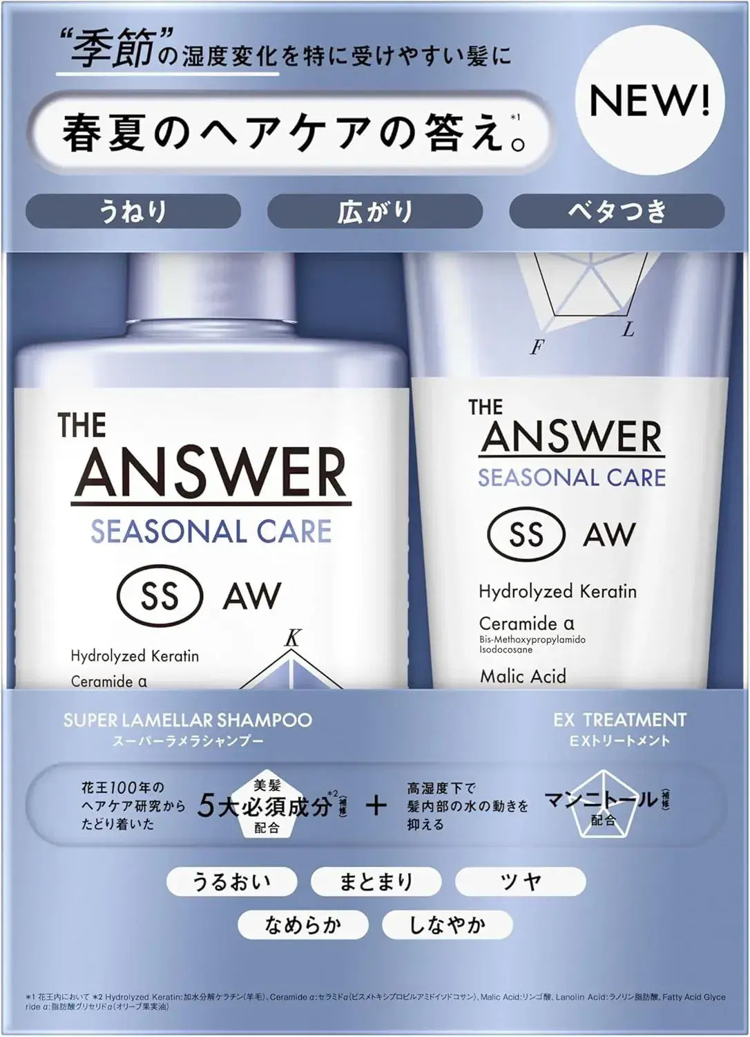 The Answer Seasonal Care Super Lamella Shampoo and Treatment Set