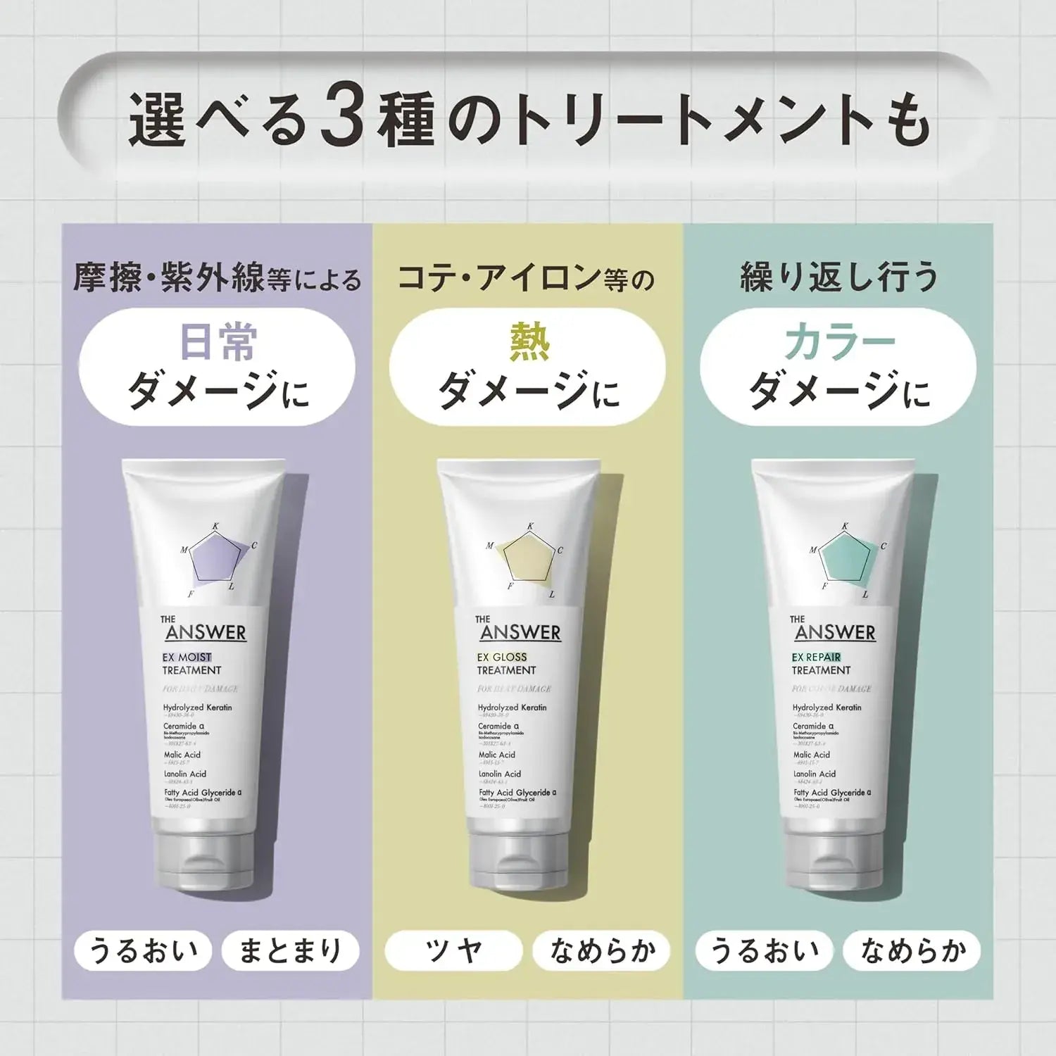 The Answer Super Lamella Shampoo and EX Moist Treatment Daily Care