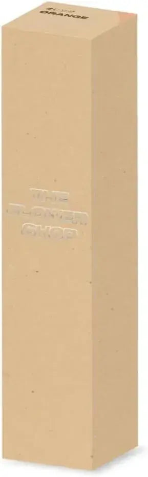The Flower Shop Concealer Cream