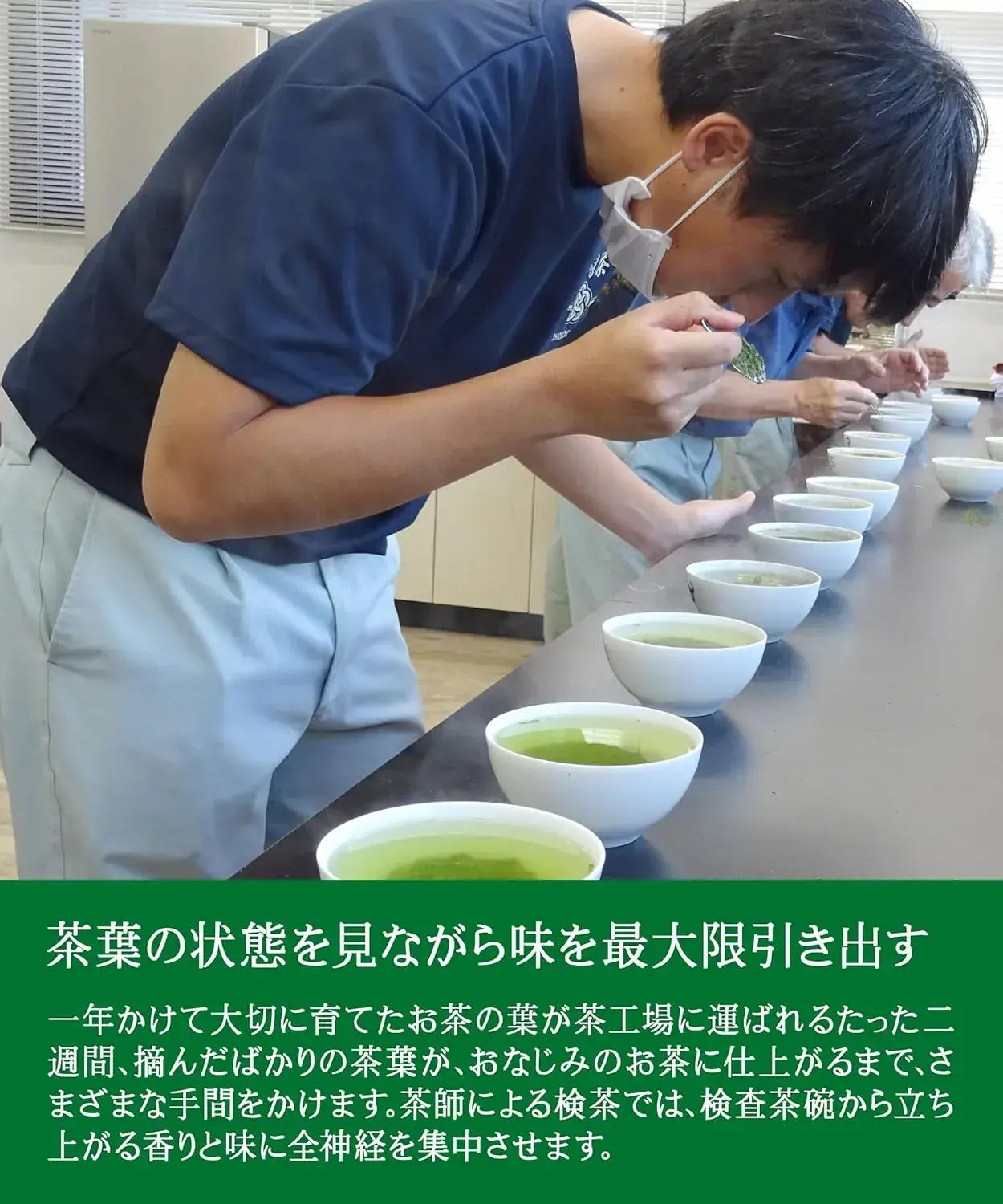 Top Smile Fukamushi Kakegawa Premium Saemidori Green Tea