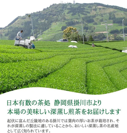 Top Smile Fukamushi Kakegawa Premium Saemidori Green Tea
