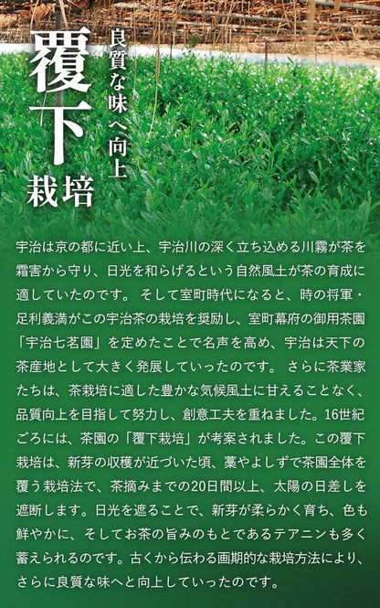 Ujitawara Seichajo Uji Matcha Kyoto no Hana Canned Matcha