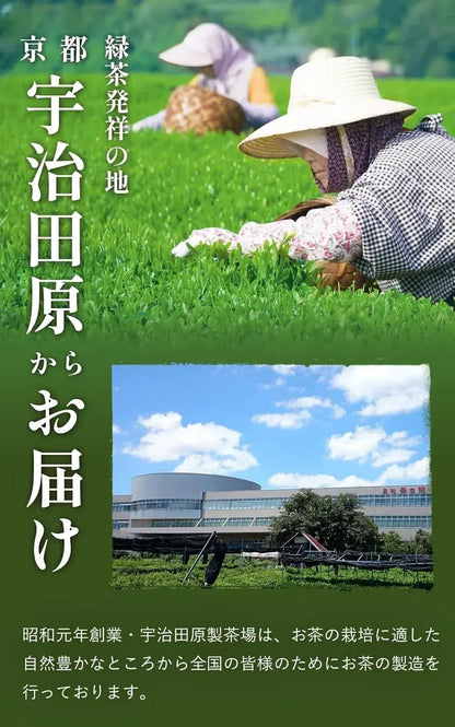 Ujitawara Seichajo Uji Matcha Kyoto no Hana Canned Matcha