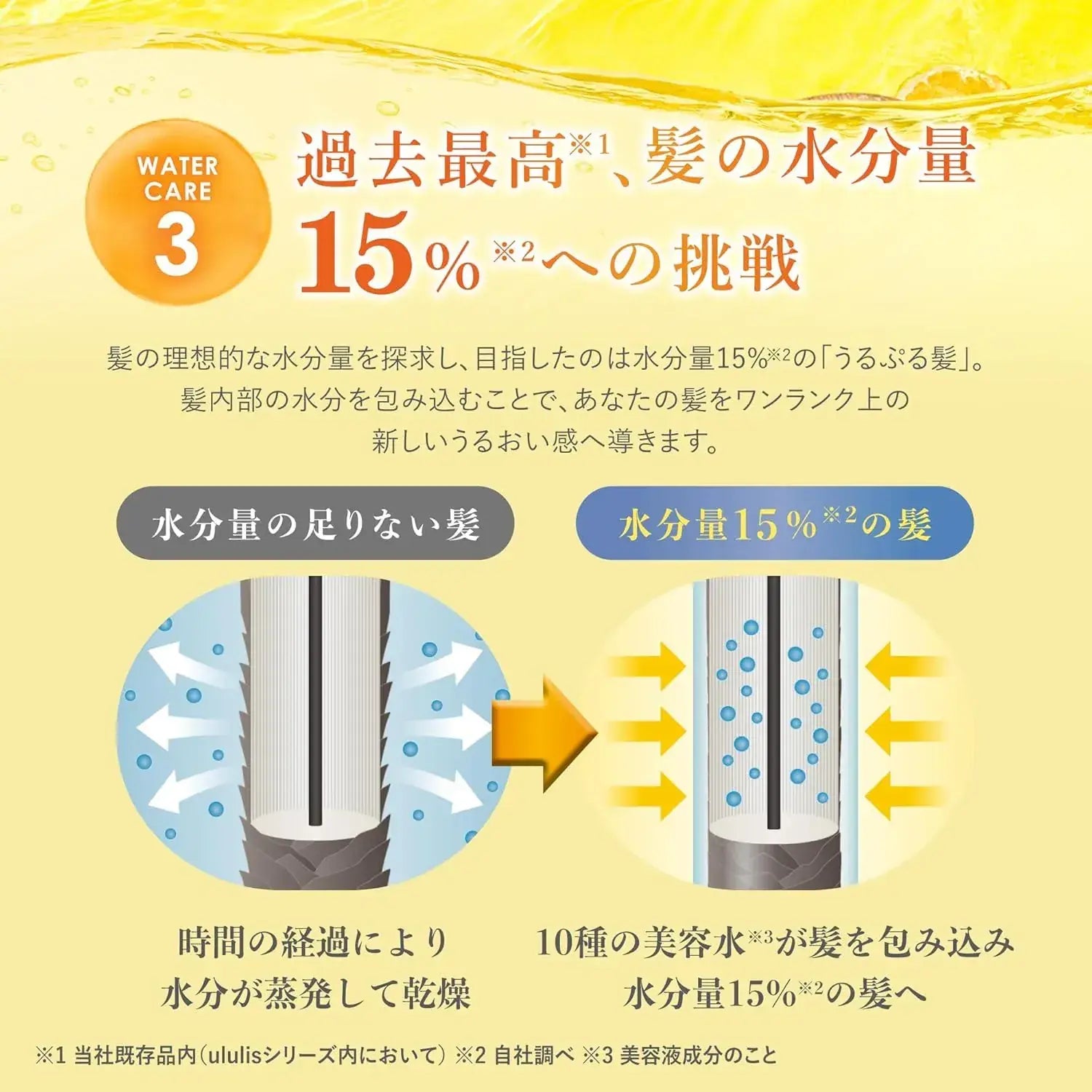 Ululis Water Conch Shampoo with Vitamin C