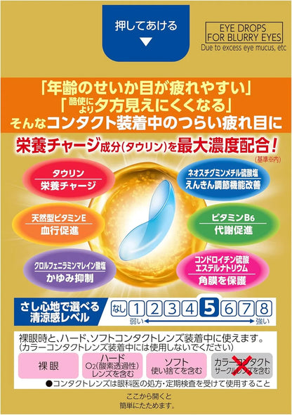 V Rohto Gold 40 Contact Eye Drops 20mL Effective Relief by Rohto Pharmaceutical