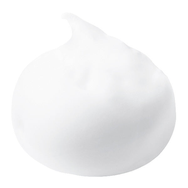 Sana Smooth Honpo Soy Milk WR Cleansing Face Wash N 150g - Japanese Moisturizing Face Wash