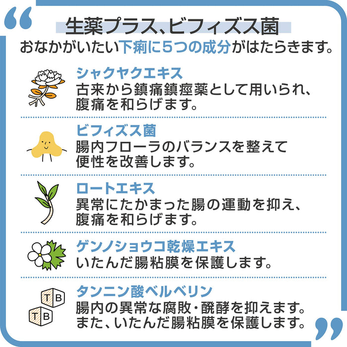 Biofermin 止瀉藥 2 種藥物 30 片日本