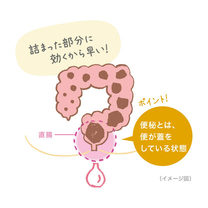 Fig Enema Japanese 2-Drug Enema 40G X 10 - 40Ml