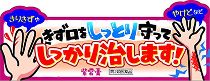 Kracie Kampo Shiunko 30G - 2 Drugs - Japan