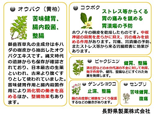 长野制药 御竹百药丸 500 片 - 2 种药品 - 日文