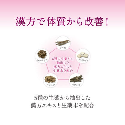 Pair Kampo Extract Tablets (Oral Medicine From Japan) 240 Tablets