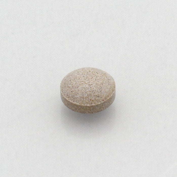 Pansilon 01 Tablet 45 片 (2 种药物) - 日本