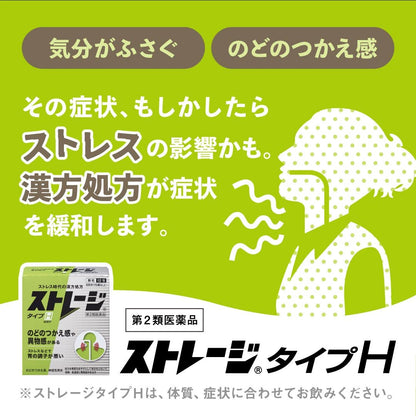 Storage Type H 12 Packets [2 Drugs] - Japan Vendor