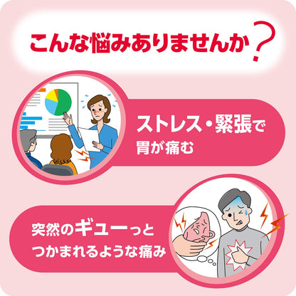 Taisho Gastrointestinal Medicine - 2 Drugs P 10 Capsules - Japan - Self-Medication Taxation