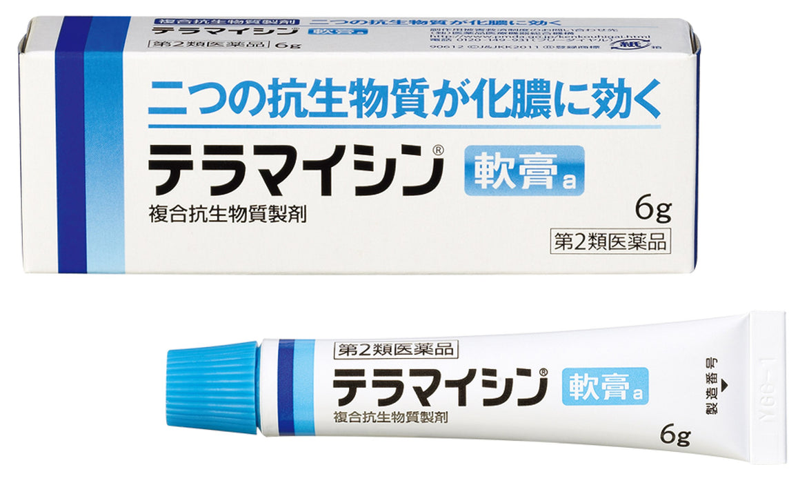 Terramycin Ointment A 6G - 2 Drugs - Japan Vendor
