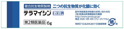 Terramycin Ointment A 6G - 2 Drugs - Japan Vendor