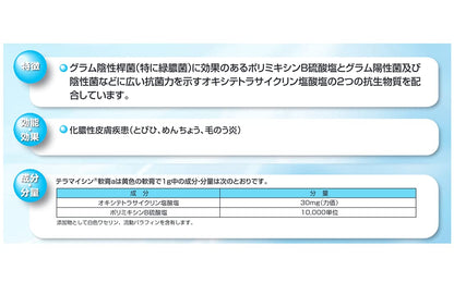 Terramycin Ointment A 6G - 2 Drugs - Japan Vendor
