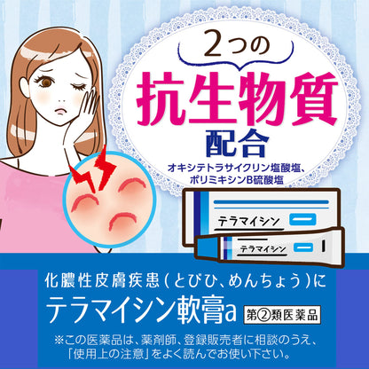 Terramycin Ointment A 6G - 2 Drugs - Japan Vendor