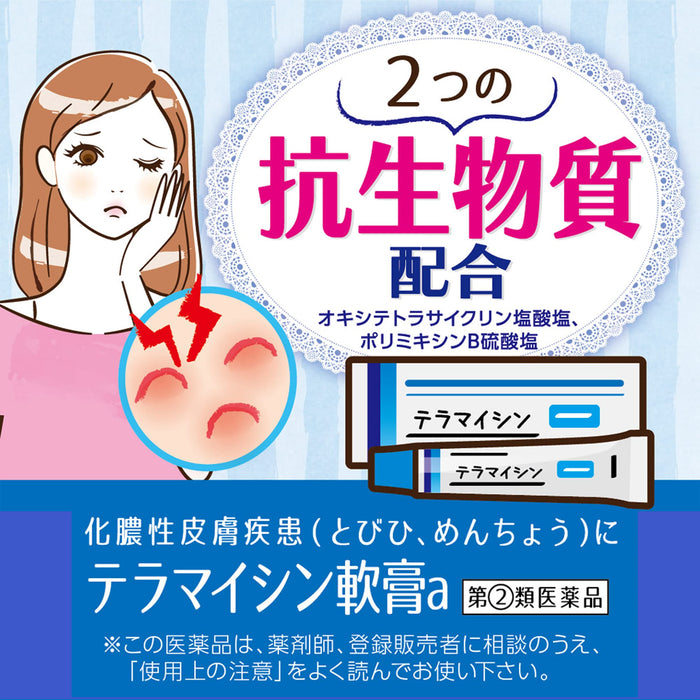 Terramycin Ointment A 6G - 2 Drugs - Japan Vendor