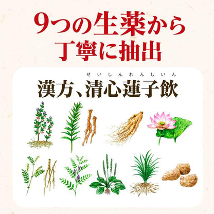 Urinal B 60 Tablets [2 Drugs] From Japan