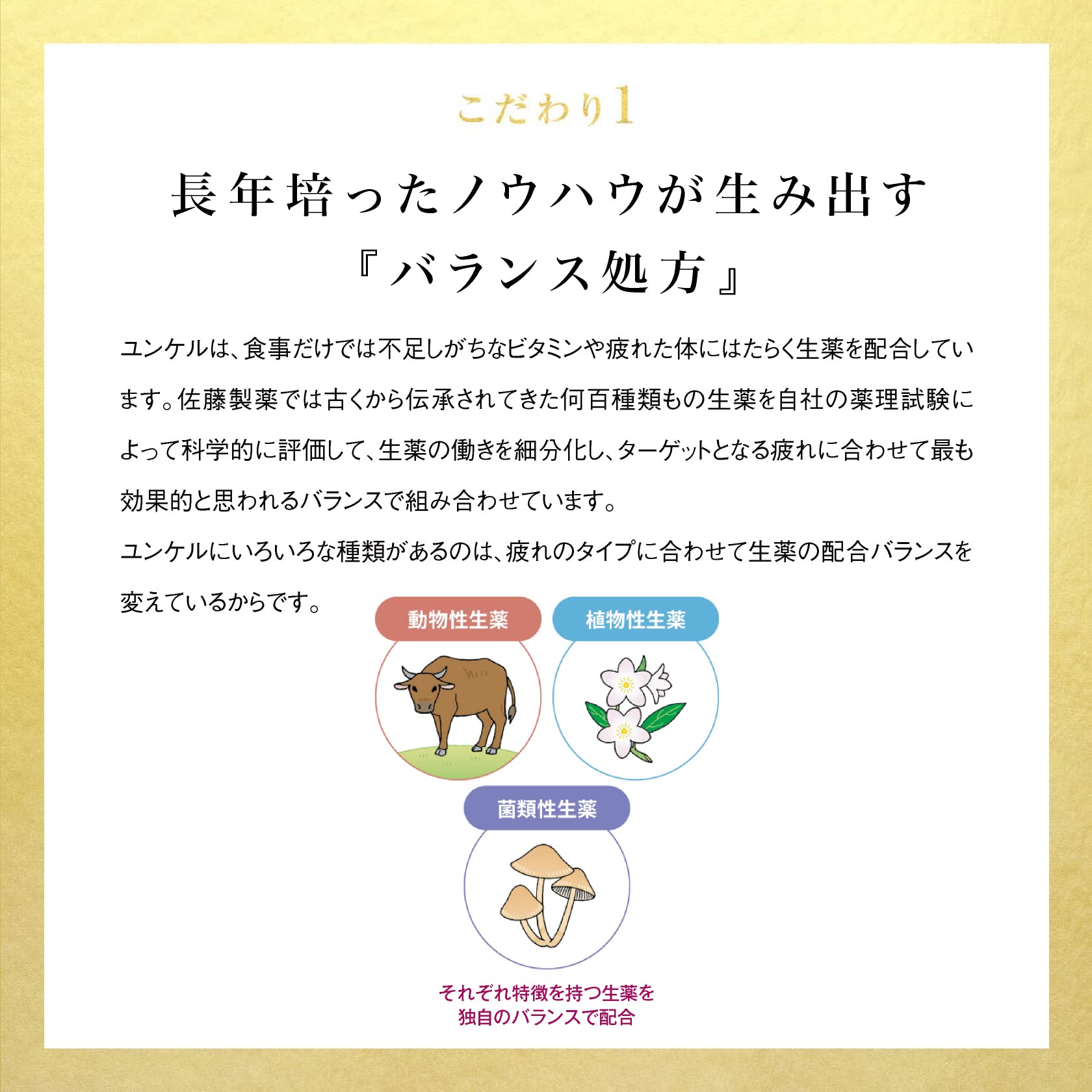 Sato Pharmaceutical Yunker Kotei L 30Ml X 10 (2 Drugs) - Japan